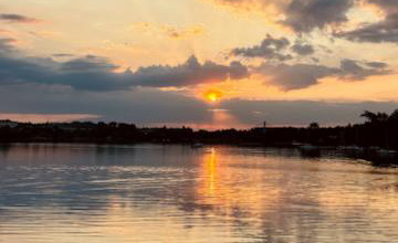 Featured Image