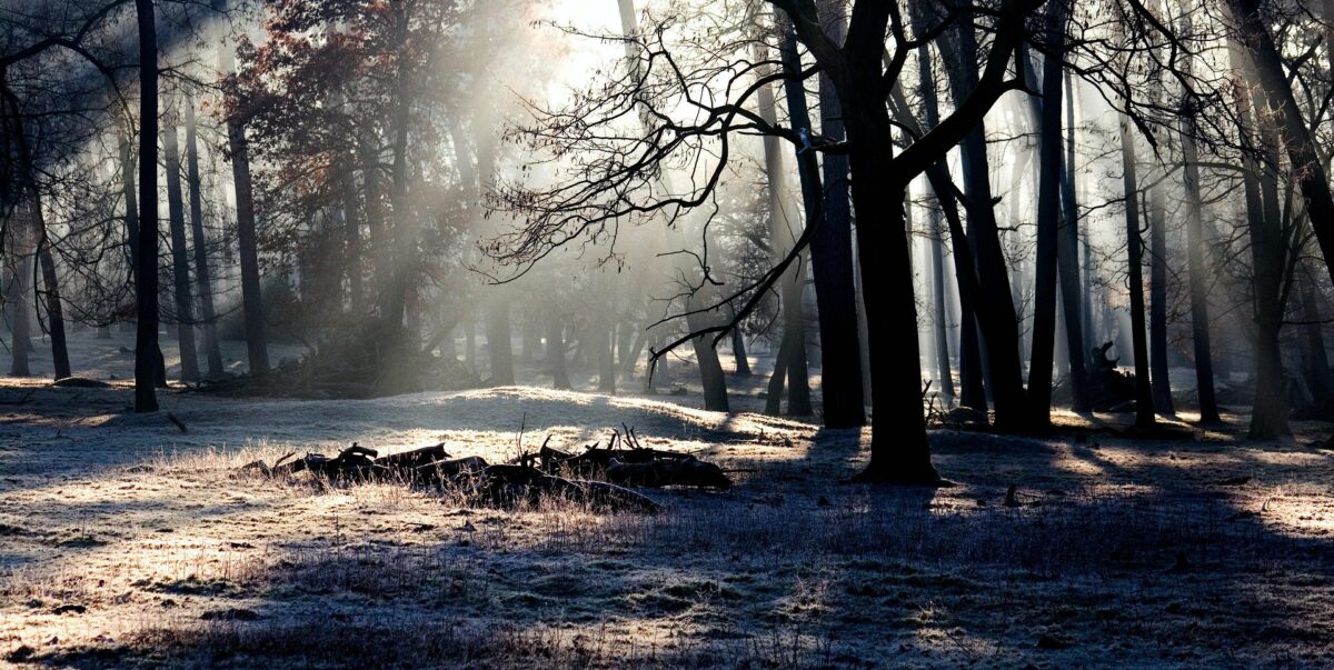 Featured Image